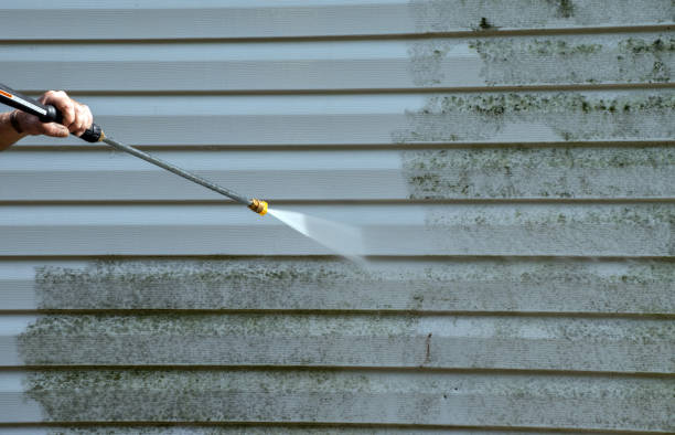 Best Local Pressure Washing Services  in Perryton, TX